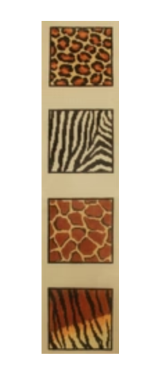 Animal Skins Coaster -Set of 4