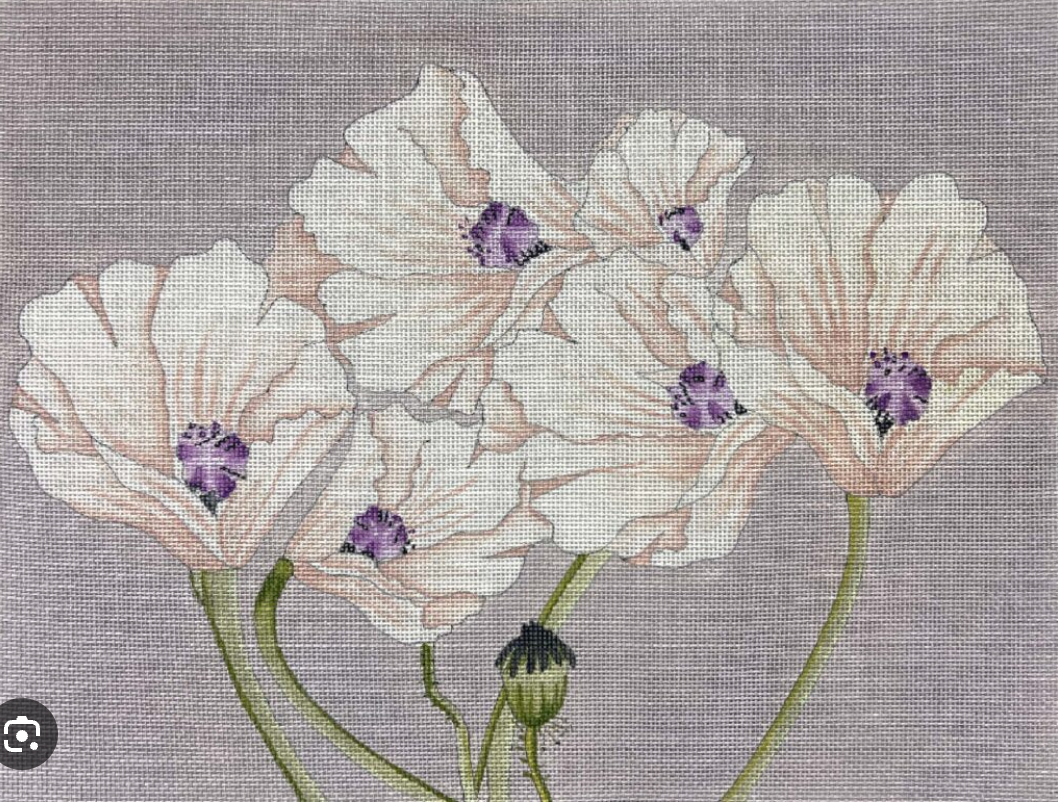 Purple Poppies