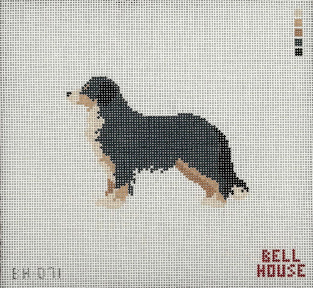 Bernese Mountain Dog