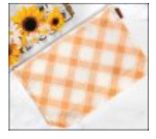 Pumpkin Large Plaid Project Bag