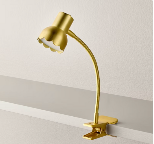 LED Clip-On Reading Light