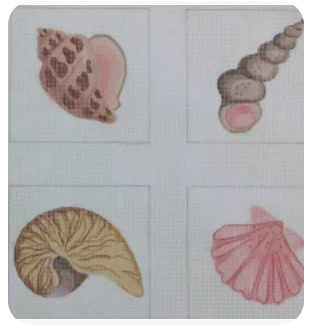 Kate Dickerson Shell Coasters