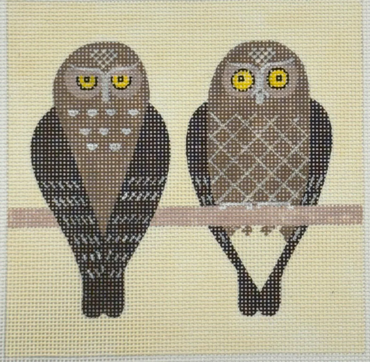 Elf Owls