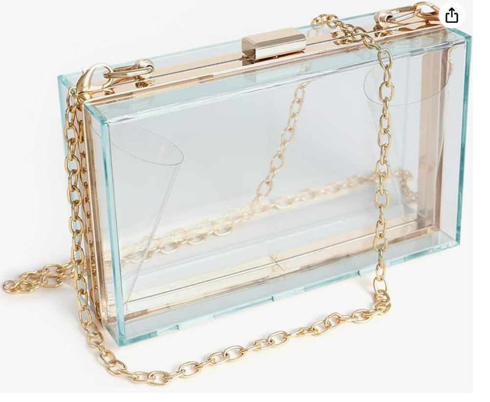 Clear Acrylic Clutch