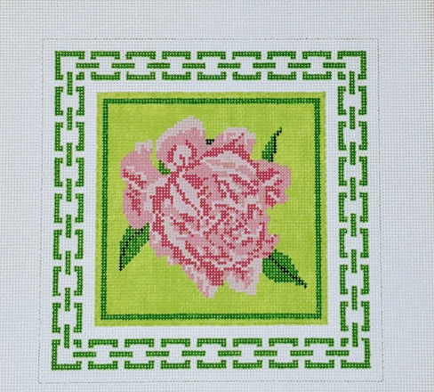 Pink Peony with Green Border