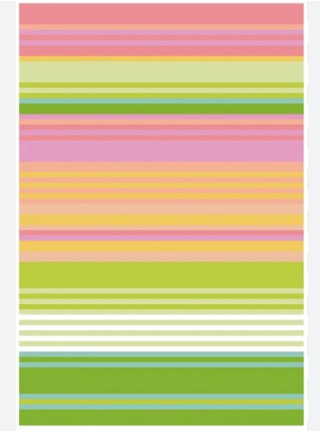 Mimi Stripes Passport Cover