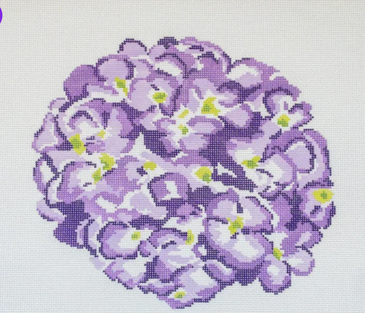 Hydrangea Purple