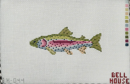 Rainbow Trout