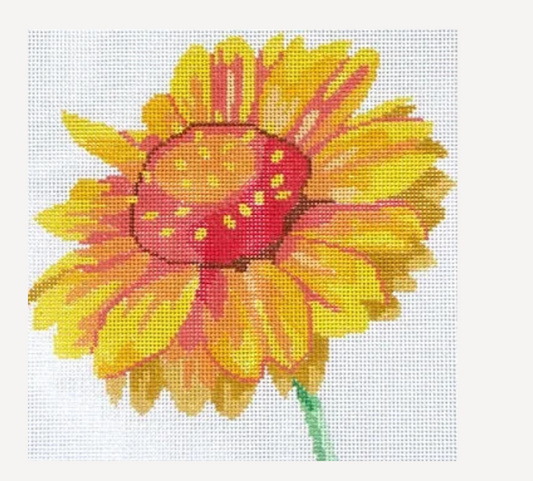 Blanket Flower Coaster