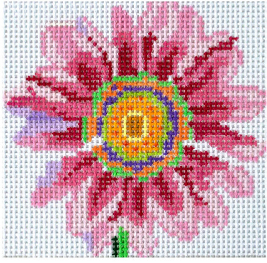 Dazzle Daisy Coaster