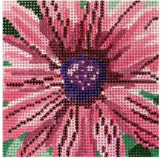 Painted Daisy Coaster