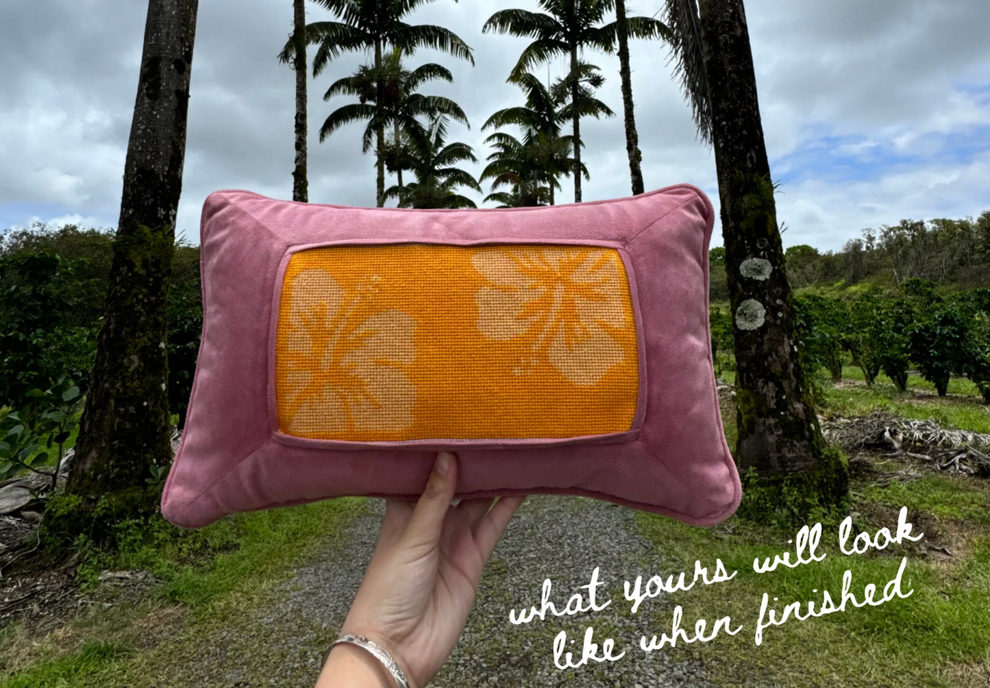 Pink Guava Velvet Pillow